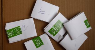 Parlamentarias 2025: Conoce los resultados preliminares de la región de la Araucanía