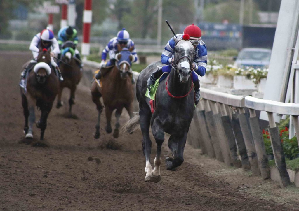 Este sábado se corre la carrera del año en el Hipódromo Chile