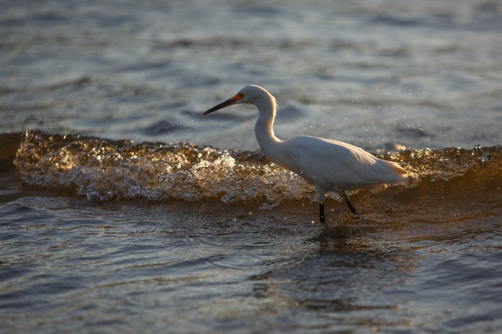 Verano 2026: descubre los mejores lugares para viajar en Chile estas vacaciones