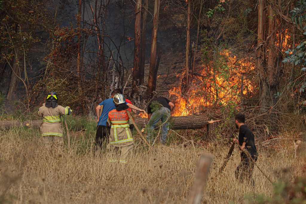 Conaf reporta nueve incendios forestales en combate tras nuevo balance de siniestros en Chile