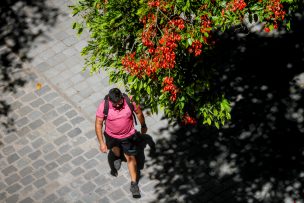 Pronóstico del tiempo para la RM: calurosa jornada cierra la semana
