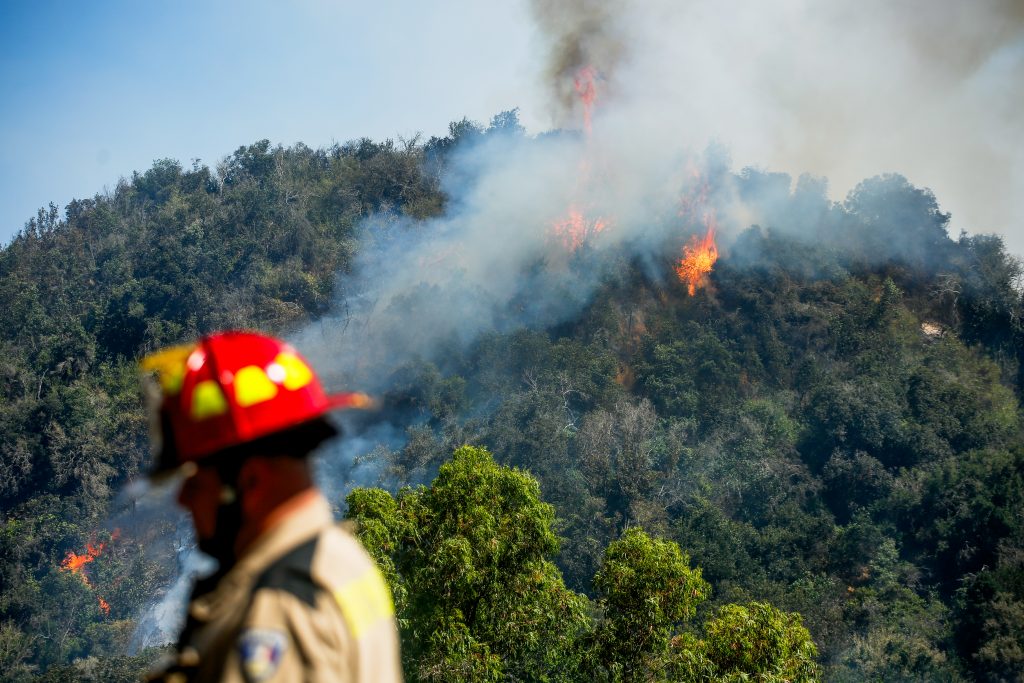 Chile enfrenta múltiples incendios forestales activos: más de 2.400 hectáreas afectadas
