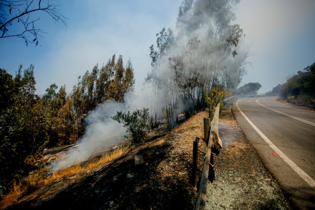 ¡Atención RM! Senapred solicita evacuar sectores de la comuna de San Pedro por incendio forestal
