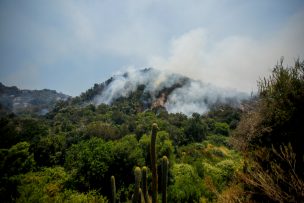 Incendios en Chile: revisa todos los avisos de evacuación vigentes