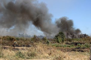 Senapred declara Alerta Roja para la comuna de Litueche por incendio forestal