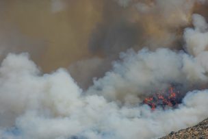Incendio forestal en San Carlos de Apoquindo supera las 800 hectáreas afectadas