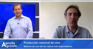 Agenda Agrícola: Presidente de Vinos de Chile proyecta alza en producción y mejora en los precios