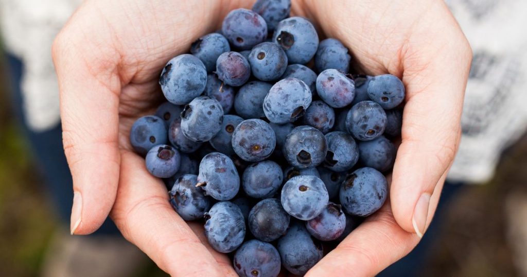 Julia Pinto en Agenda Agrícola: 