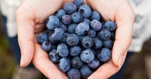 Julia Pinto en Agenda Agrícola: 