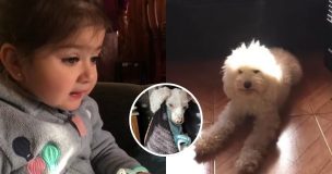 Blanca, la perrita de viral “Sácala de ahí”, lucha por su vida: familia pide ayuda urgente