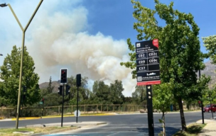 Incendio Forestal en San Carlos de Apoquindo: Bomberos y CONAF combaten el fuego