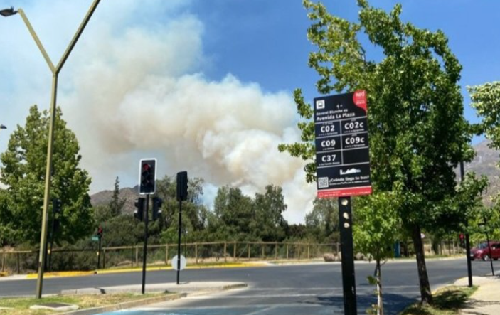 Incendio Forestal en San Carlos de Apoquindo: Bomberos y CONAF combaten el fuego