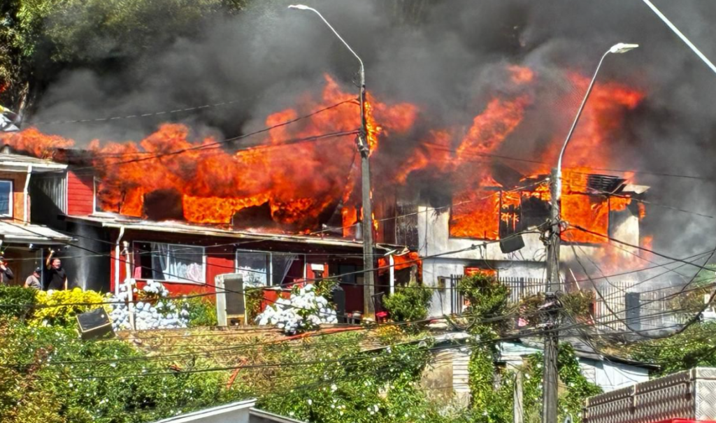 Incendio forestal en Tomé obliga evacuación del sector El Santo tras avance de las llamas
