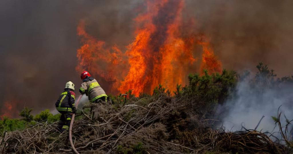 Presidente del Consejo de Comandantes de Bomberos: “La mayoría de los incendios forestales son 100% evitables”