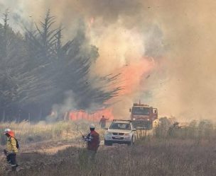 Incendio forestal en Pichilemu: Conaf y Bomberos combaten las llamas en Panilonco