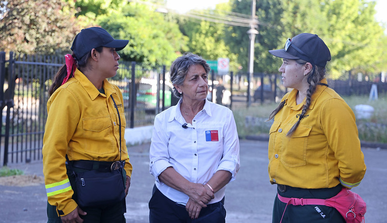 MOP recibió a más de sesenta brigadistas mexicanos que apoyarán emergencia en La Araucanía