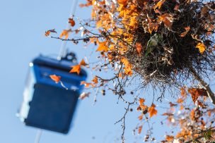 Verano en Santiago: 3 lugares que no puedes dejar de visitar