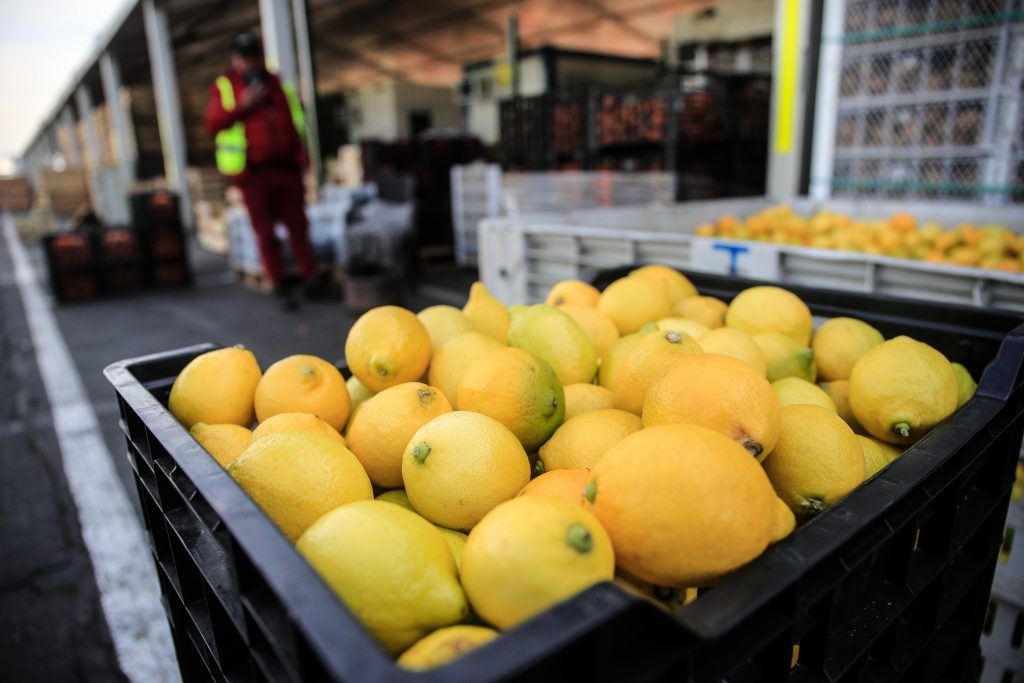 IPC de diciembre presentó una variación mensual de -0,2%