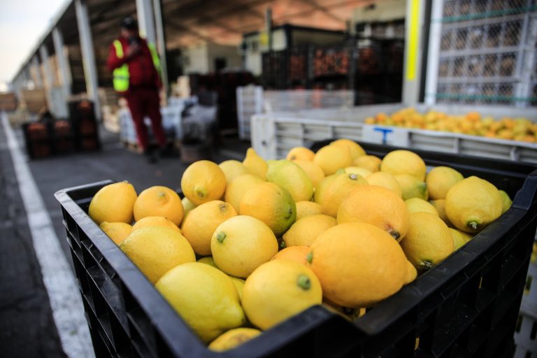 IPC de septiembre presentó una variación mensual de 0,4%