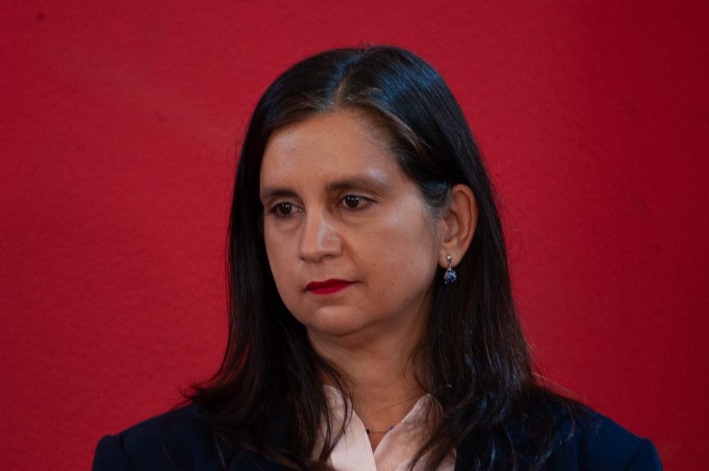 Ministra Ignacia Fernández asume rol de enlace del Gobierno en Ñuble por incendios forestales