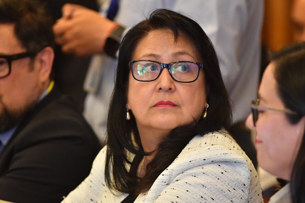 Dorothy Pérez cuestiona proyección de gastos del proyecto de reajuste al sector público