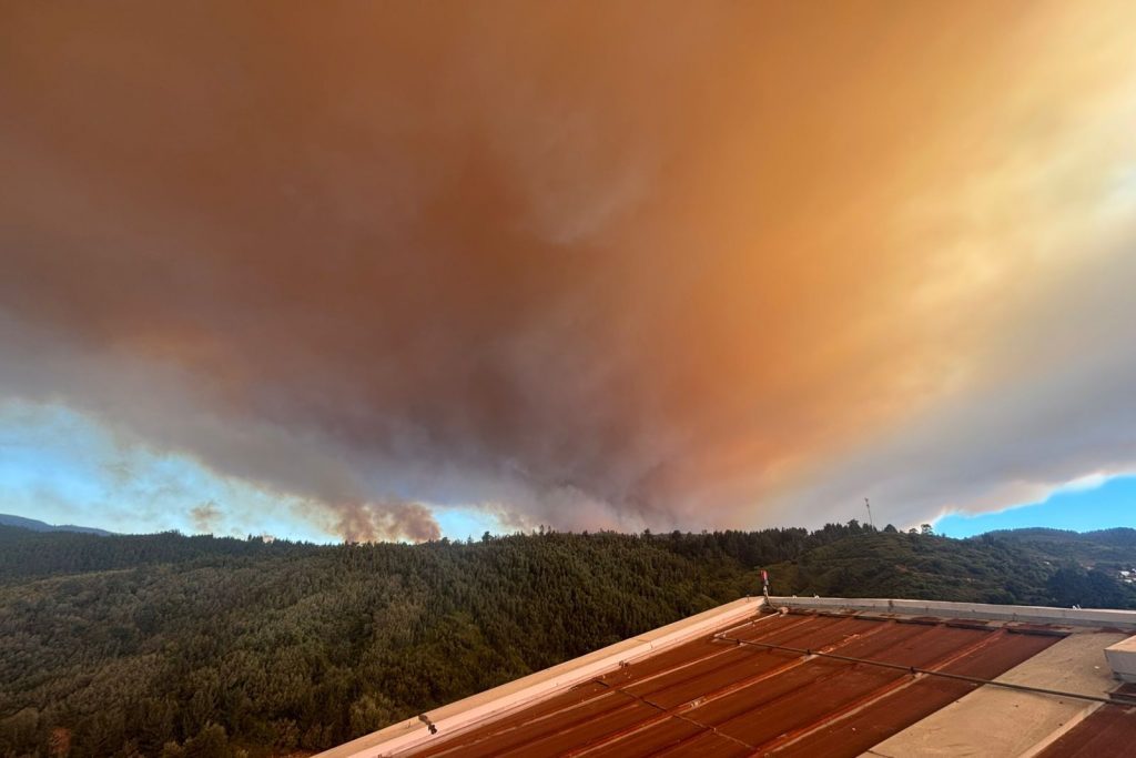 SENAPRED ordena evacuar cinco sectores de Penco por incendio forestal