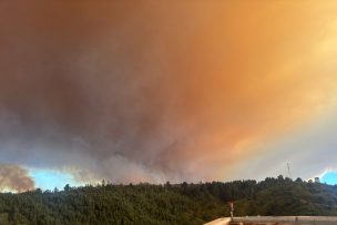 Fiscal nacional confirma investigaciones en curso por incendios forestales