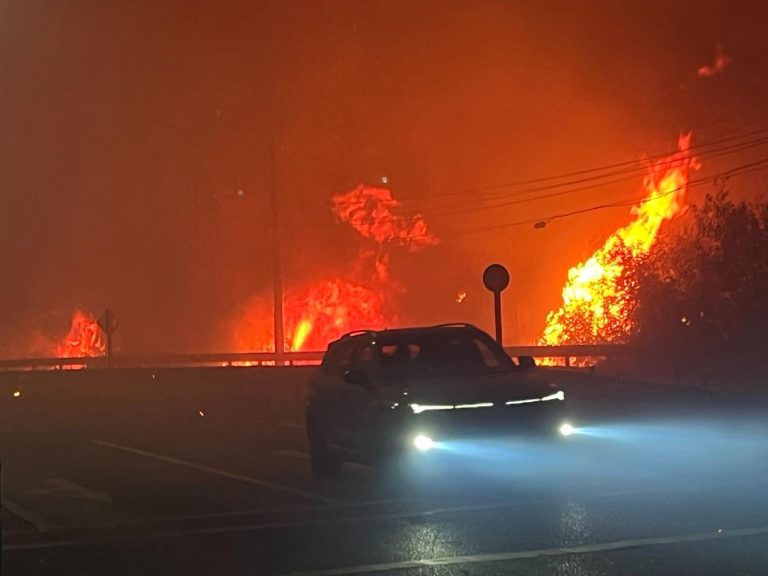 SENAPRED ordena evacuación en sector de la Región del Biobío por incendio forestal: activa alerta SAE