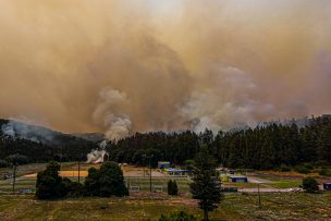 SENAPRED ordena evacuar cinco sectores de Penco por incendio forestal