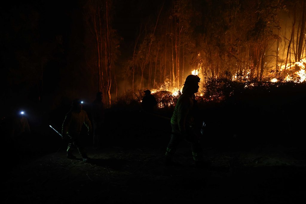 ¡Atención! Solicitan evacuar un sector de la comuna de Florida por incendio forestal