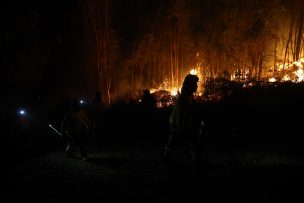 Senapred solicita evacuar dos sectores de Florida por incendio forestal