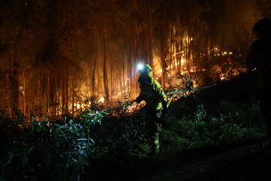 Evacúan Peña Blanca y Coyanco por incendio forestal en Quillón