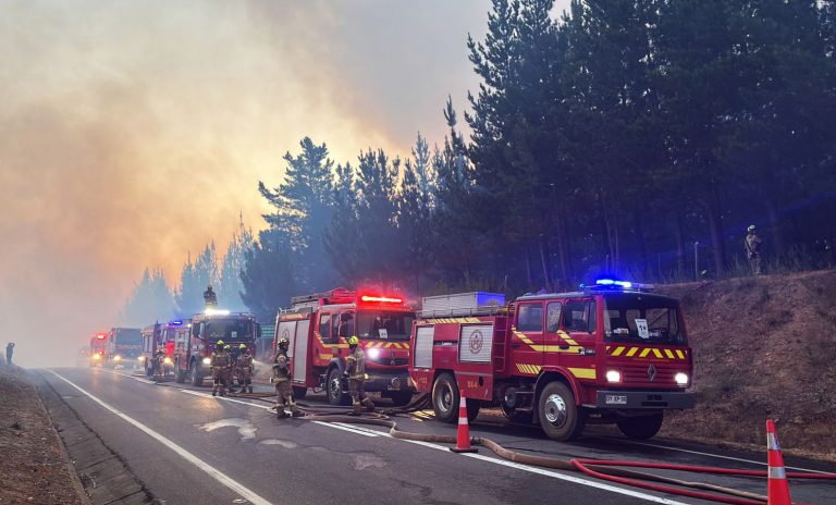 Alerta Roja en Camiña: incendio forestal moviliza recursos por riesgo para zonas habitadas