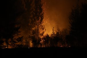 SENAPRED ordena evacuación por incendio forestal en Quebrada de Riffo, comuna de Florida