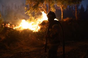 Incendio en Vilcún obliga a evacuar Vega Redonda: SENAPRED activa alerta SAE