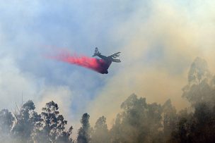SENAPRED ordena evacuación de múltiples sectores en Cholchol por incendio forestal
