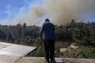 Presidente Boric decreta duelo nacional por víctimas de incendios forestales