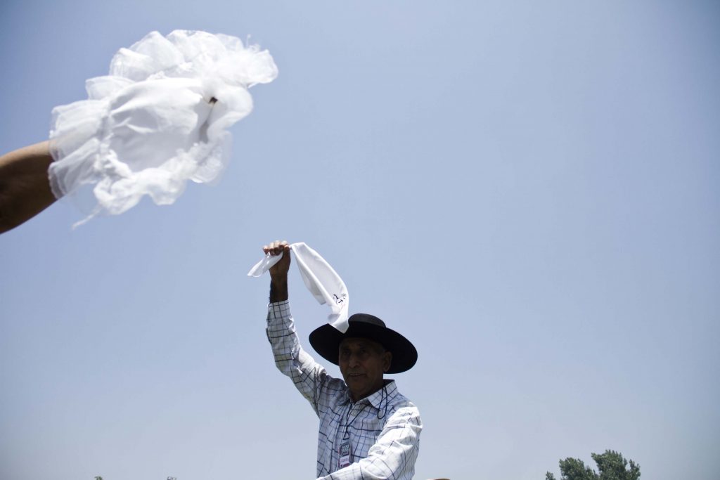 Tradición, sabor y música: así se vivirá la Expo Paine Rural 2026 este 23, 24 y 25 de enero