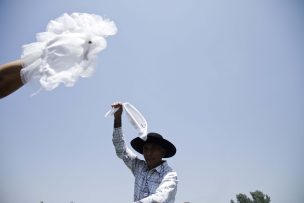 Tradición, sabor y música: así se vivirá la Expo Paine Rural 2026 este 23, 24 y 25 de enero