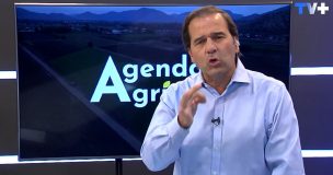 Agenda Agrícola: Incendios forestales, biofertilizantes y suelos vivos marcan nuevo capítulo