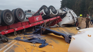 Fatal volcamiento de camión en Ruta La Fruta deja un conductor fallecido
