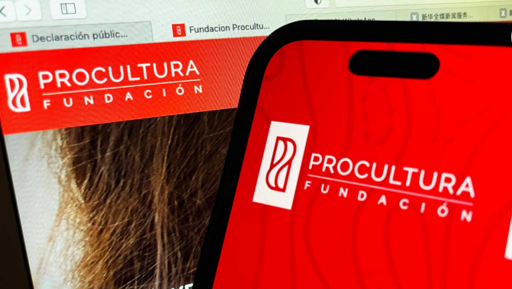 Caso ProCultura: Tribunal ordena detener a Alberto Larraín por programa con fondos del Gore RM