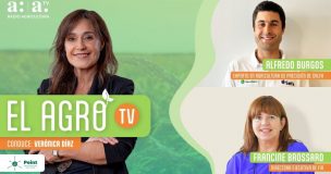 Chile avanza hacia tractores autónomos: experto revela el futuro de la agricultura de precisión