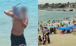 Tiburón muere luego de ser sacado del agua por turistas para tomarse 'selfies' en El Quisco
