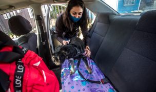 ¿Dónde se movieron los santiaguinos en 2025? App de transporte revela su ranking anual