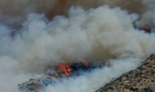 Declaran Alerta Roja en Melipilla por incendio forestal