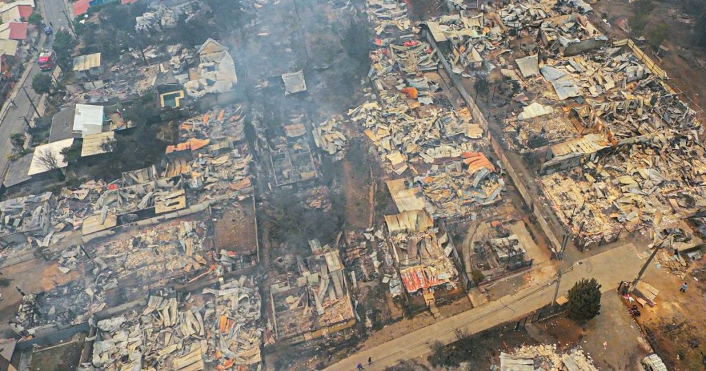 Ejecutivo de Arauco alerta sobre intencionalidad en siniestros: “No es normal que un país tan chico tenga 7.000 incendios”