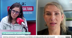Guarequena Gutiérrez por transición en Venezuela y Delcy Rodríguez: 