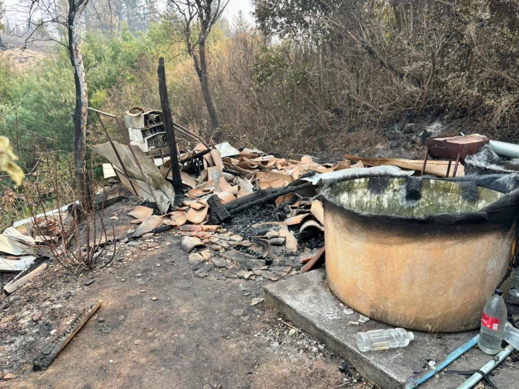 Ministerio de Economía inicia levantamiento de información para reconstrucción productiva tras incendios