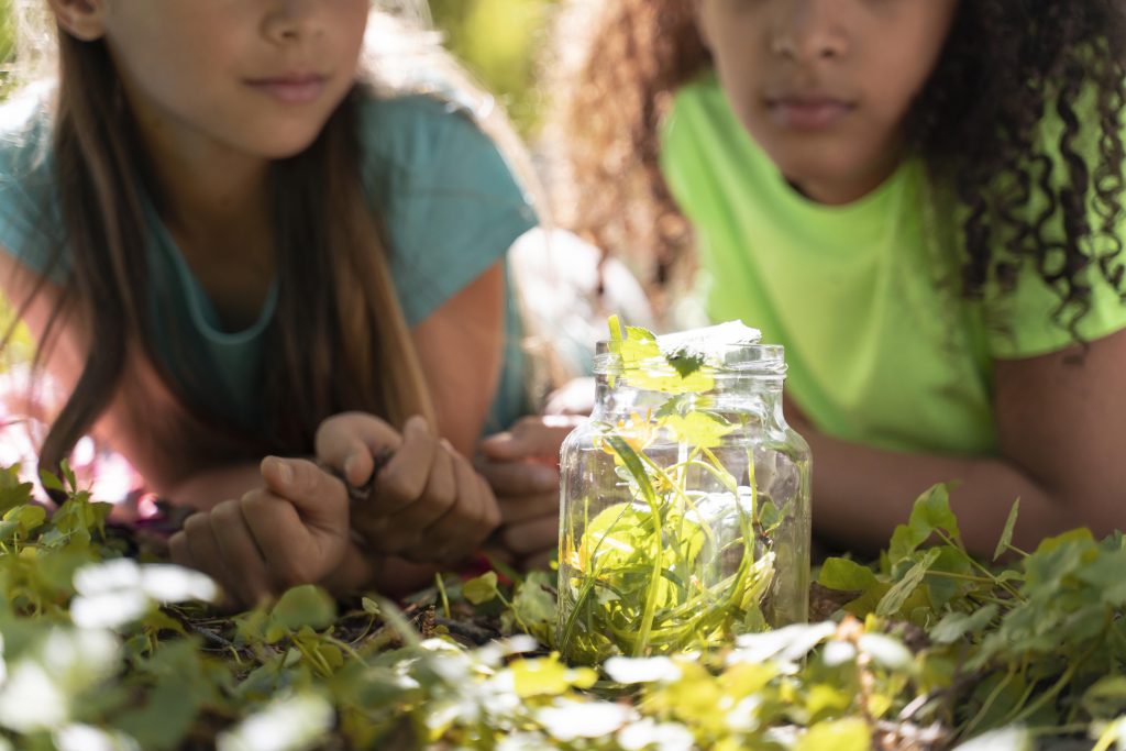 Este lunes se conmemora el Día Mundial de la Educación Ambiental: Lo que necesitas saber